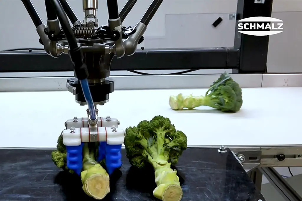 Pick and Place of Broccoli | Schmalz